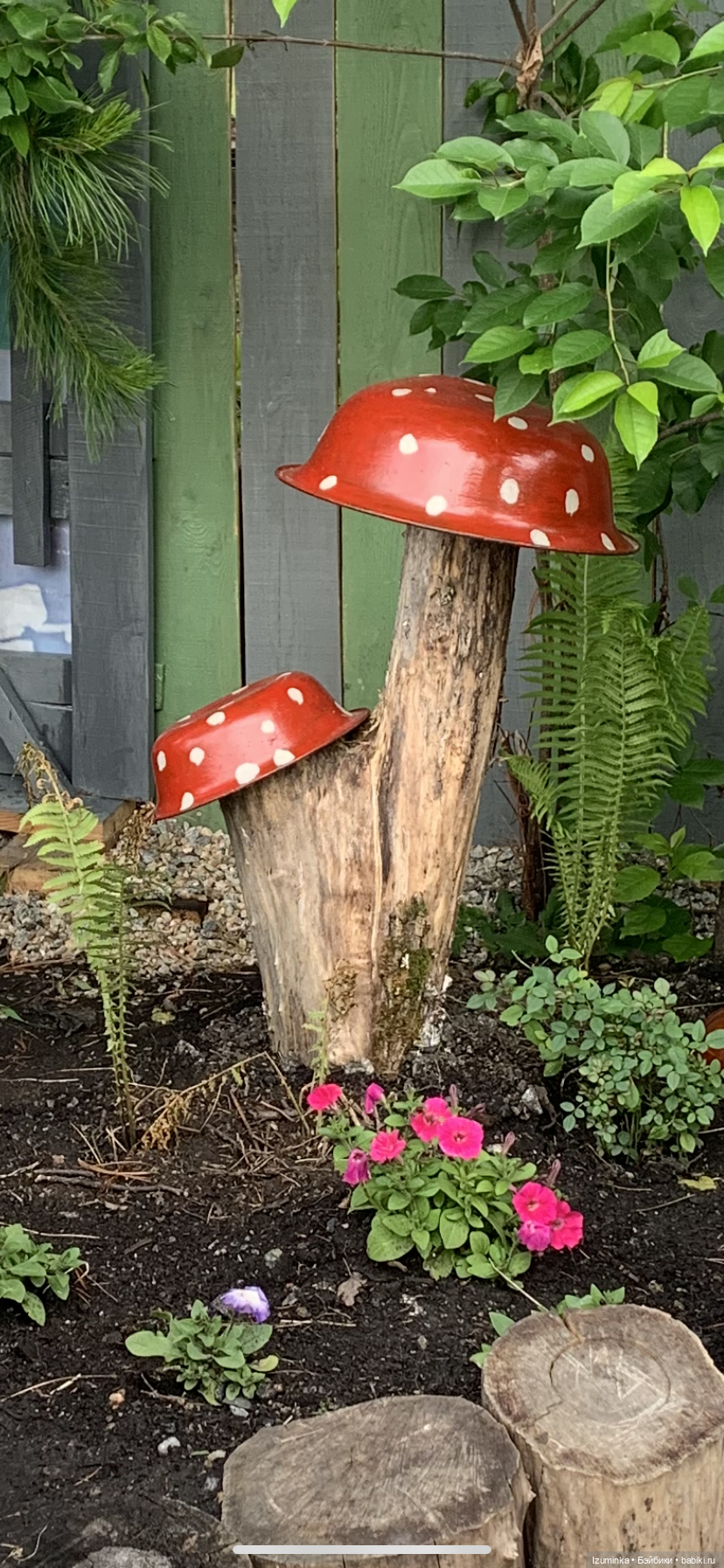 Дора - повелительница Мухоморов. Монст (Xiaomi monst) | Бэйбики Дора - повелительница Мухоморов. Монст (Xiaomi monst) (фото 2)