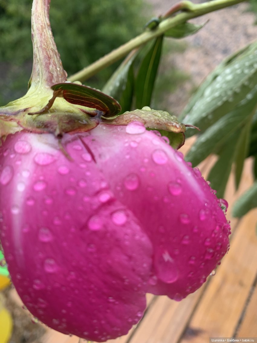 … И снова дождь… — ООАК Paola Reina (Паола Рейна) и испанских кукол: перерисовка (фото 2)