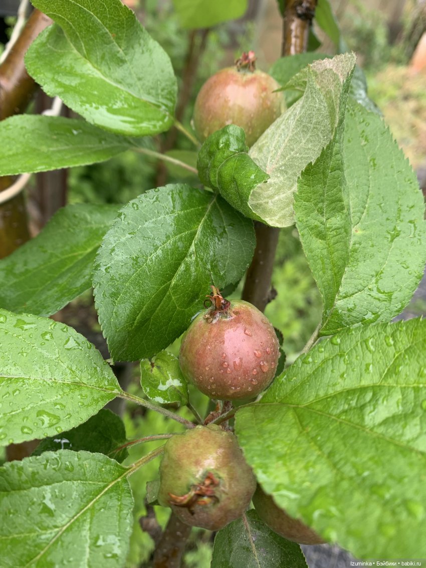… И снова дождь… — ООАК Paola Reina (Паола Рейна) и испанских кукол: перерисовка (фото 5)