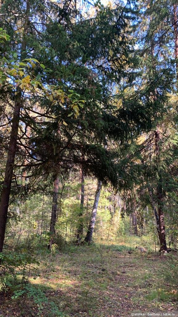 Осенние мотивы... Жу , авторские куклы Даши Нужновой