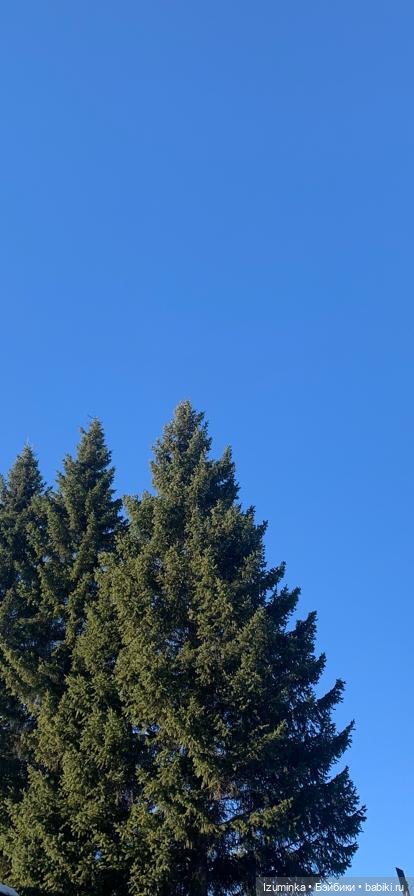 Свидание. Вязаные Лягушки Клэр Гарланд (Claire Garland)