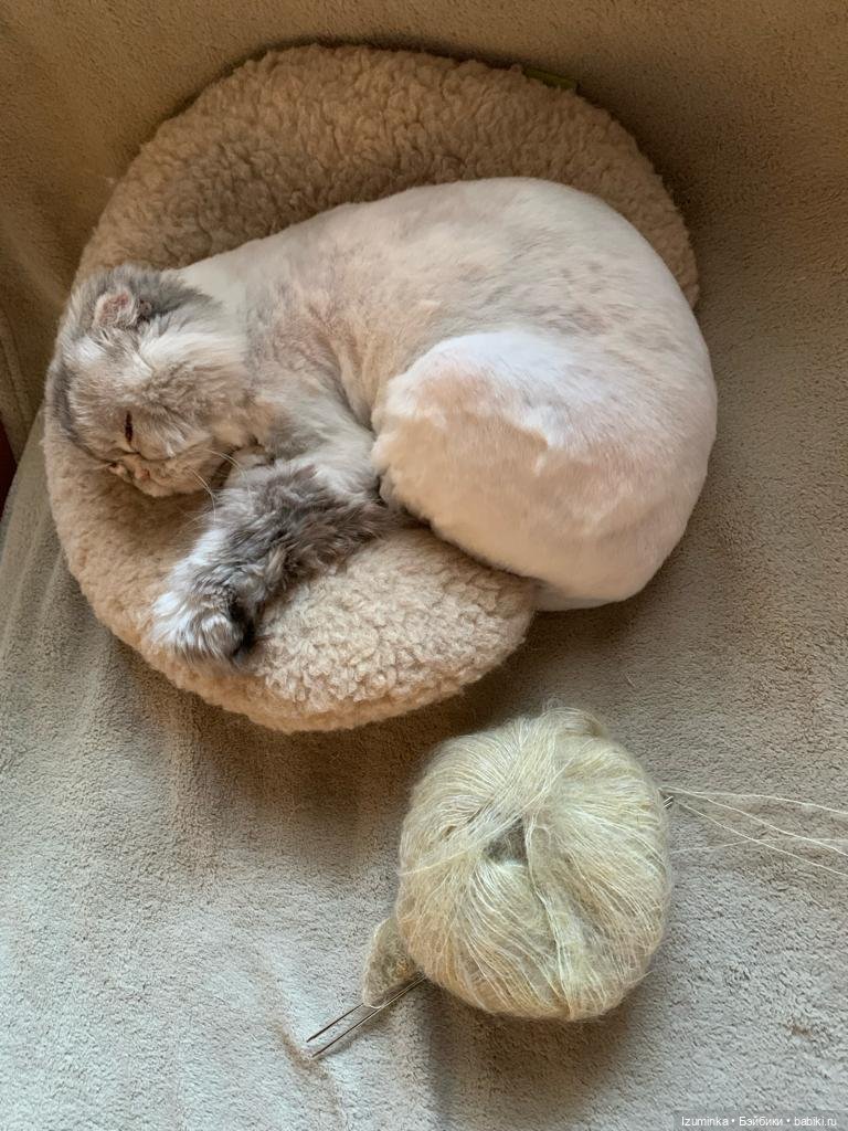 Софи дома — Куклы Tafidolls (Татьяна Филенко): российские BJD (БЖД) (фото 2)