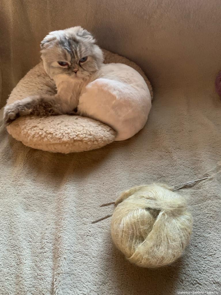 Софи дома — Куклы Tafidolls (Татьяна Филенко): российские BJD (БЖД) (фото 3)