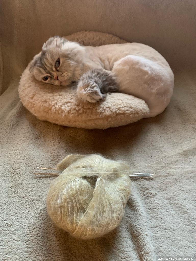 Софи дома — Куклы Tafidolls (Татьяна Филенко): российские BJD (БЖД)