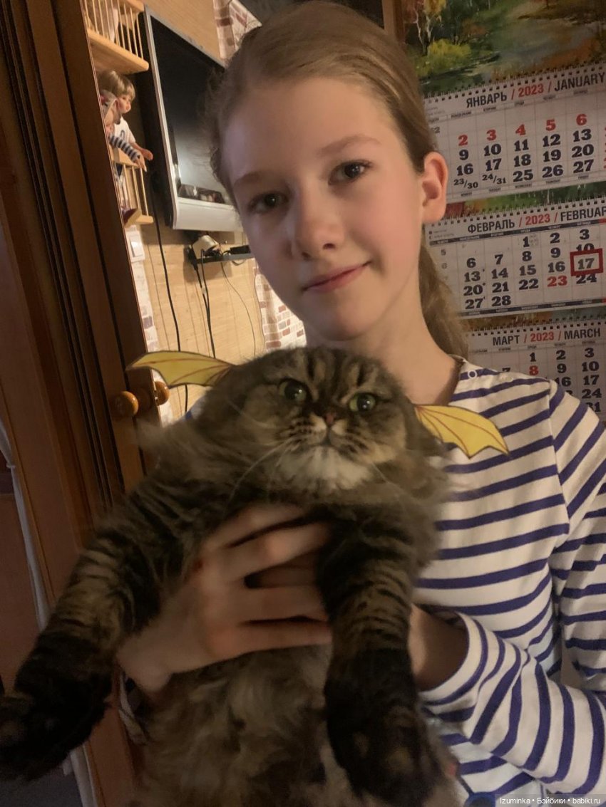 😸1 Марта - День Кошек | Бэйбики 😸1 Марта - День Кошек — В мире животных: смешные фото питомцев и зверей (фото 9)