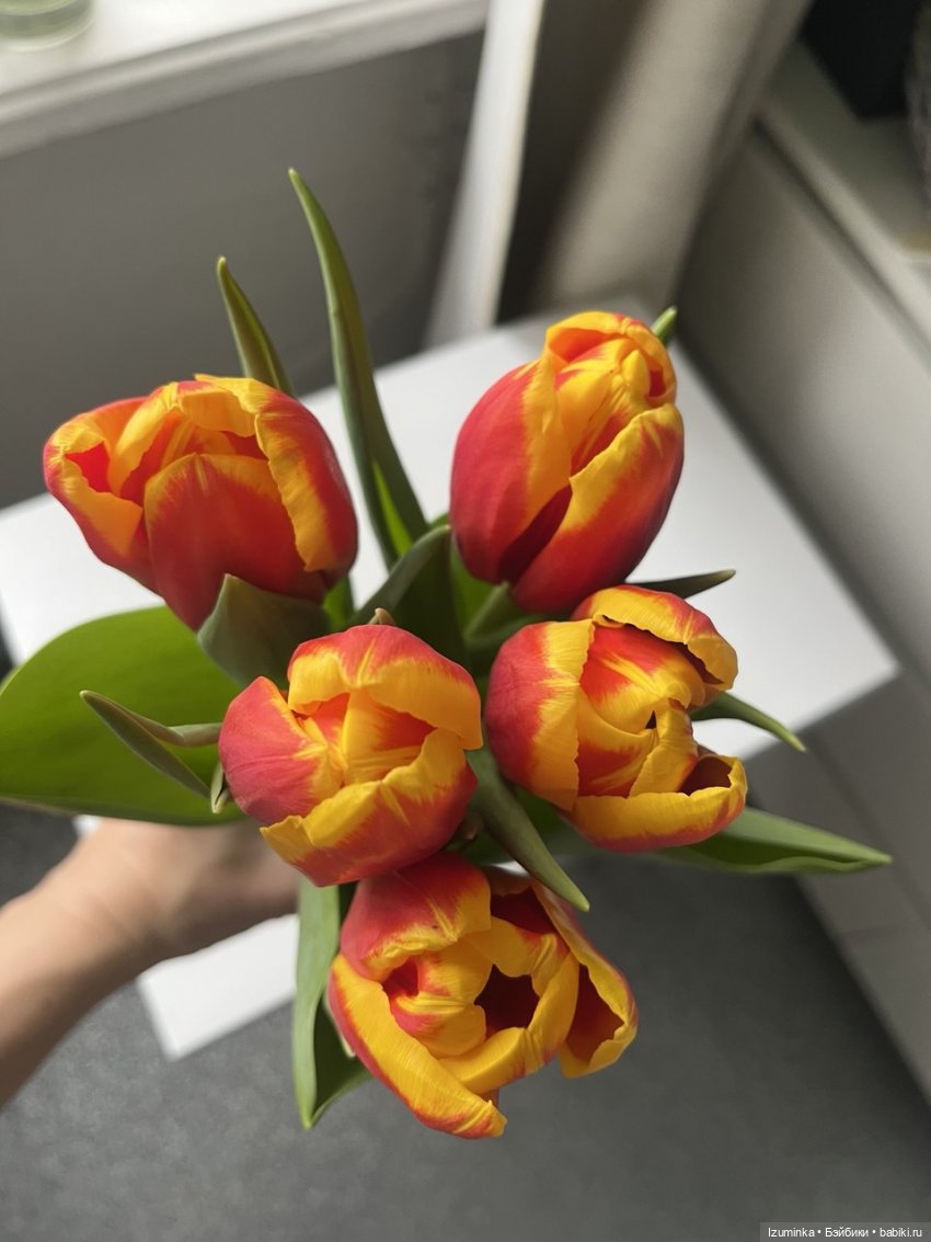 С праздником Весны 🌿🌷, девочки (фото 3)