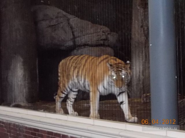 Джейн в Чикаго