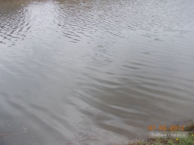 Белла Тоннер