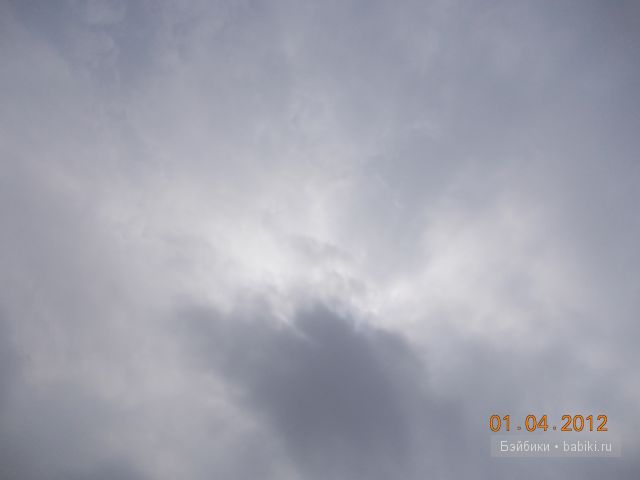 Белла Тоннер