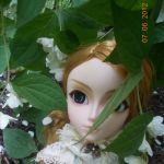 Taeyang: Romantic Mad Hatter, или Шляпник Лестатович