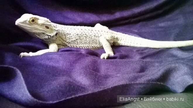 Клава — Куклы J (фото 7)