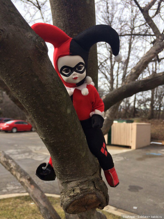 Гроза Готэма, или как у меня поселилась маленькая Харли Квин