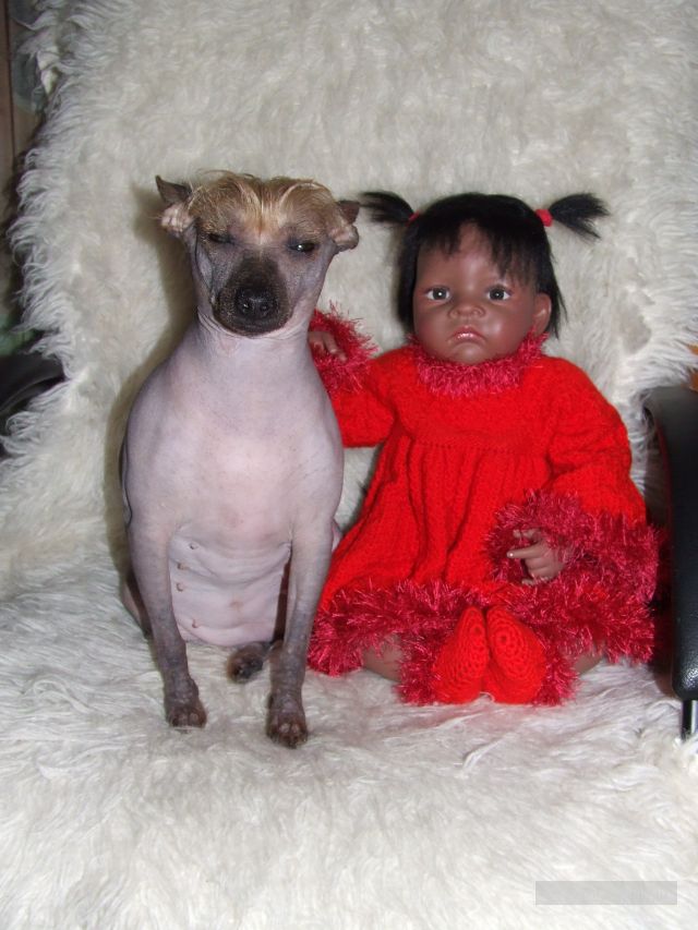 кукла и собака