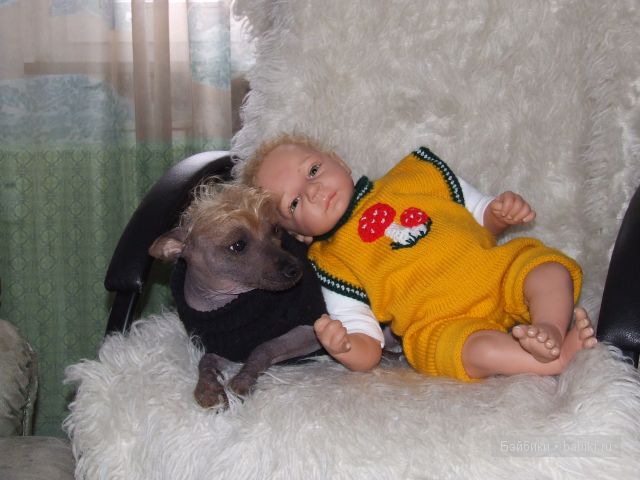 хохлатая подружка