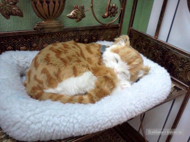 Куклы Пещеры Сказок