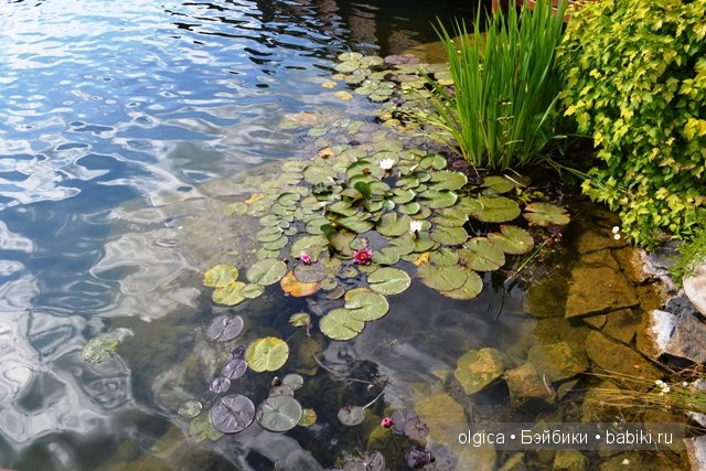 Зеленоглазая нимфа Аллюра от Фейзах Спанос, прогулка в Межигорье