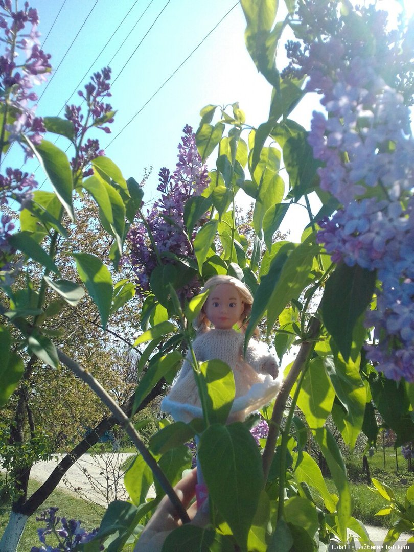 Весна...какая красота кругом (фото 8)