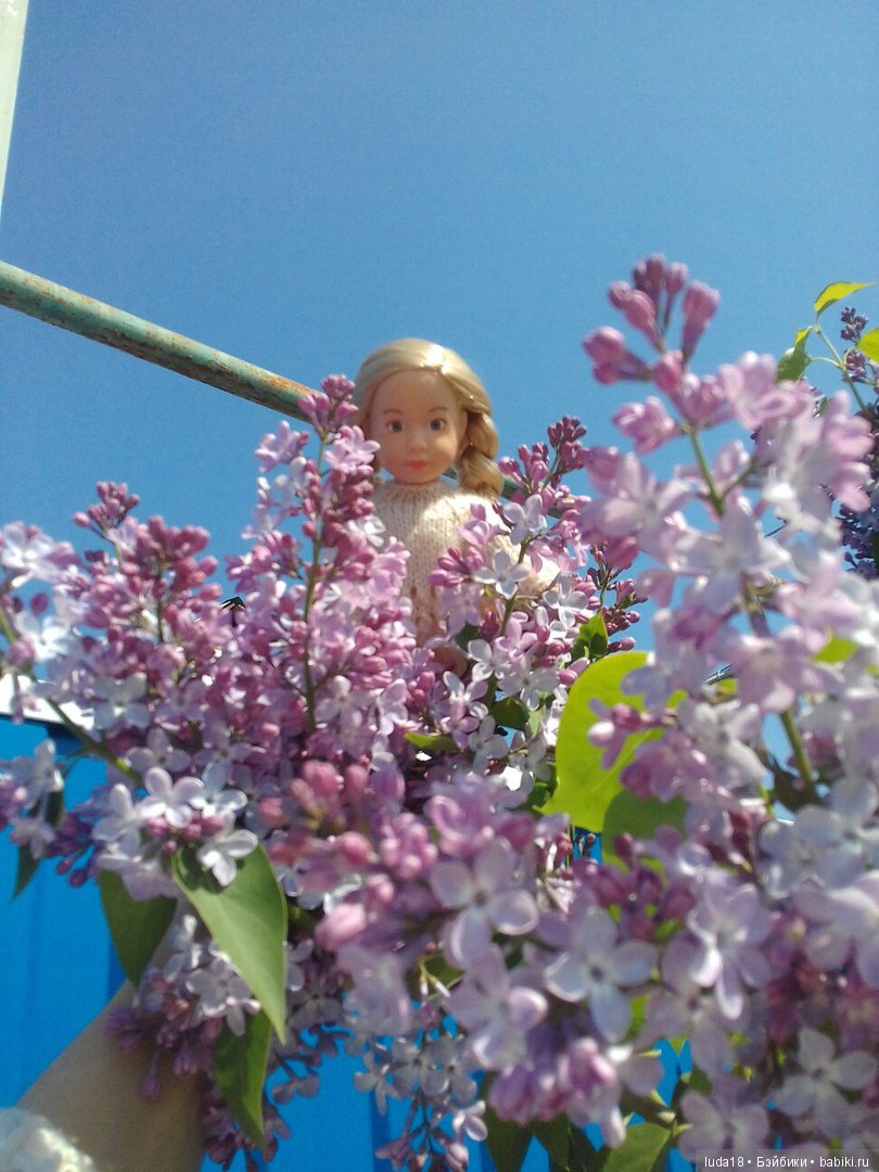 Весна...какая красота кругом (фото 5)