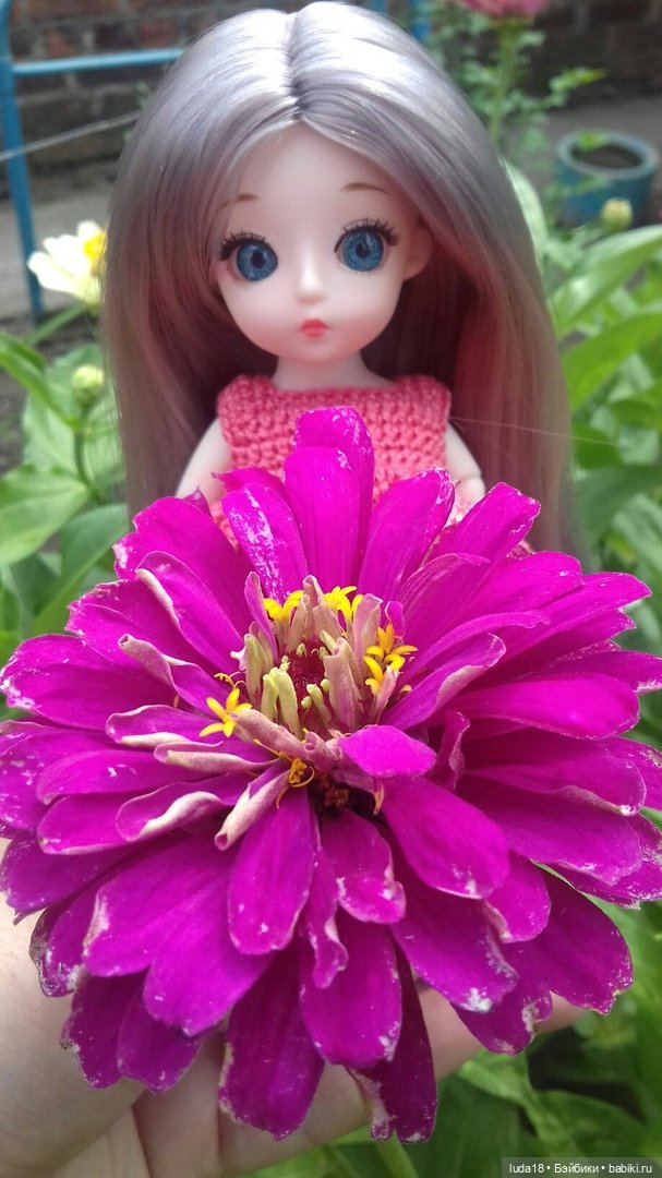 Баболишки, моя новая любовь (фото 2)