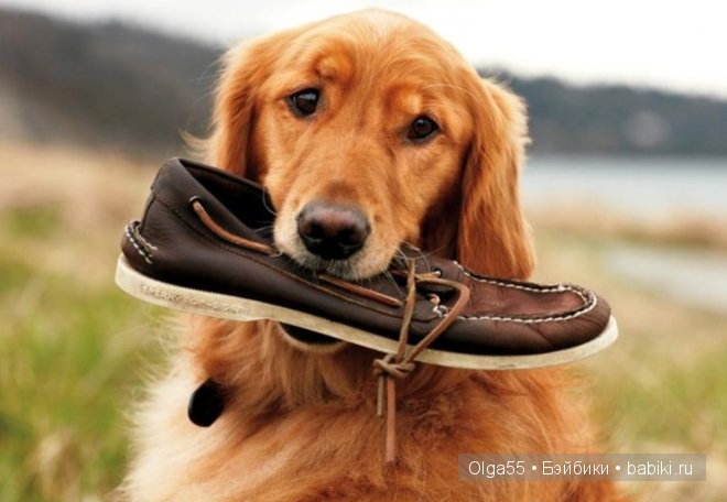 Морской стиль- Forever — Интересное и необычное: фотоподборки