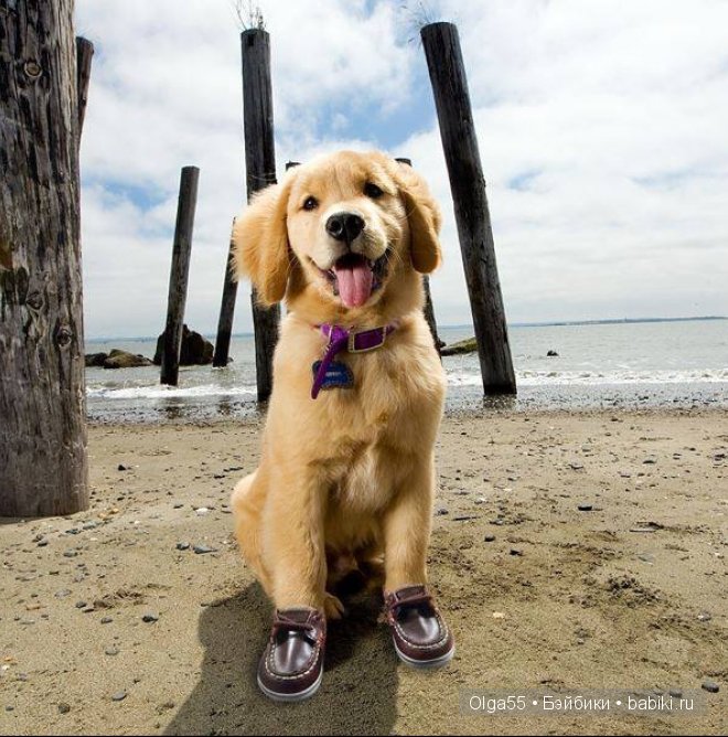 Морской стиль- Forever — Интересное и необычное: фотоподборки