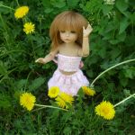 Воскресная прогулка (заключительная часть)