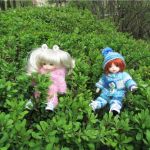 Весенний день... или как девочки ходили на пикник.№1