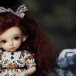 Мои bjd-dolls