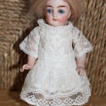 Красавица миньонетта