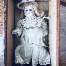 Миньонетта 16 см