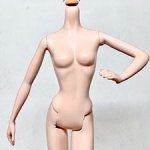 Модельное тело для Барби