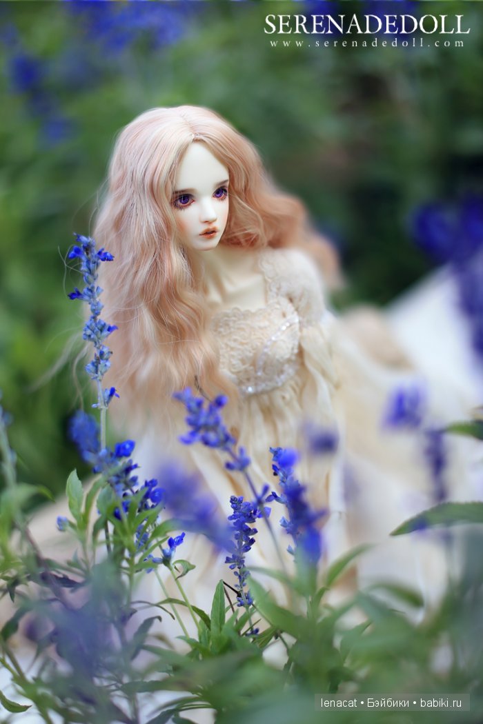 SerenadeDoll SerenadeDoll
