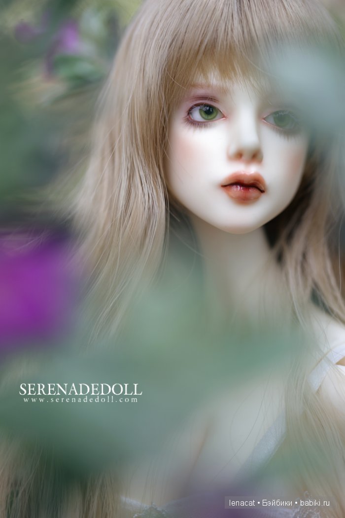 SerenadeDoll SerenadeDoll