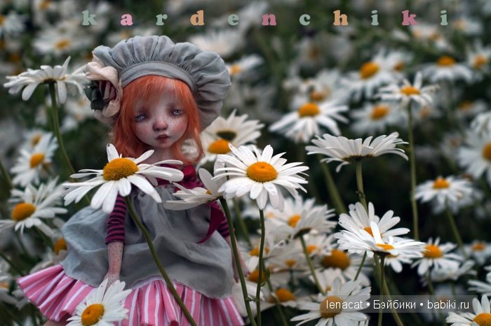 kardenchiki kardenchiki