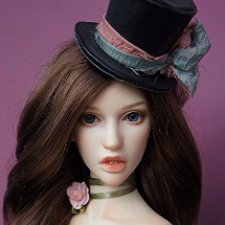 Amanda Dollshe гибрид