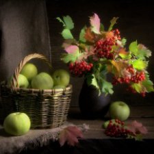 Завораживающие фото Сергея Алексеева