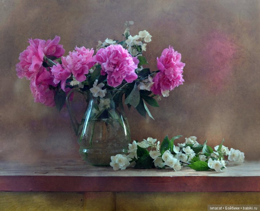 фото Ольги Ивановой