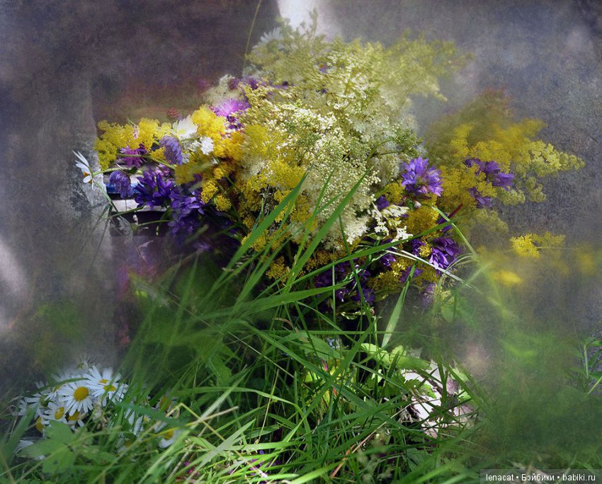 фото Ольги Ивановой