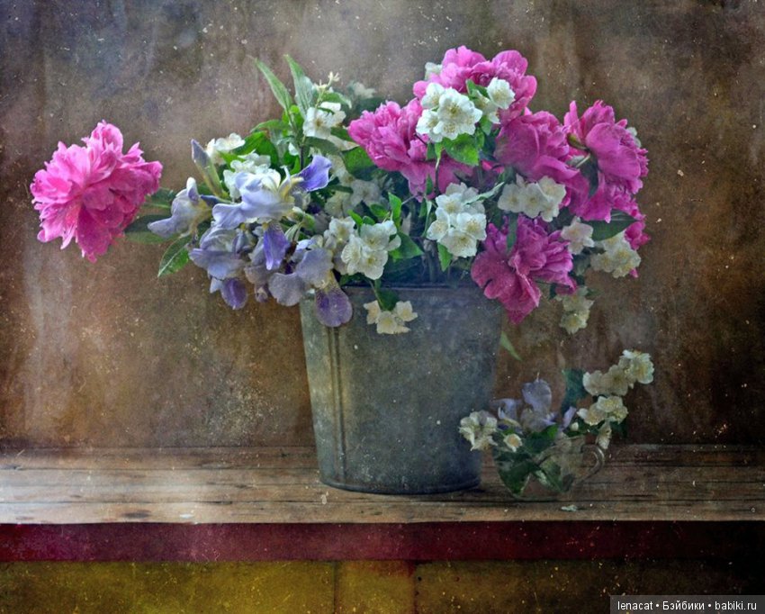 фото Ольги Ивановой