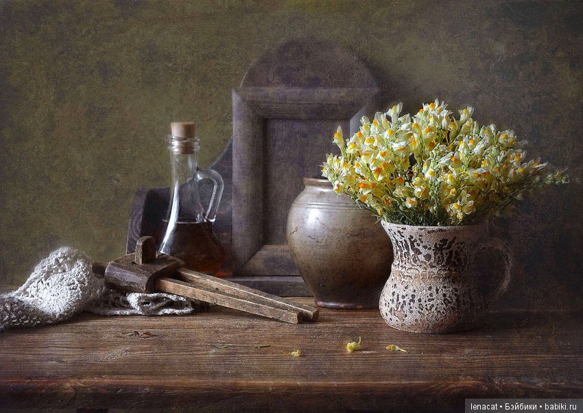 фото Ольги Ивановой