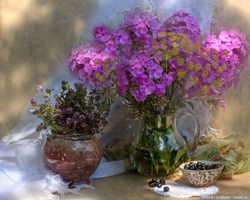 фото Ольги Ивановой