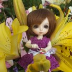 Моя сладкая и очень любимая Зойка.(PukiFee Zoe).