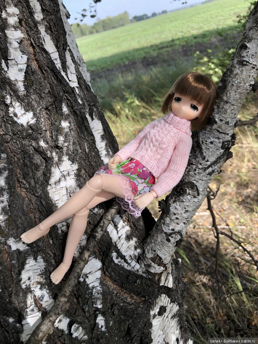 Погуляли — Аниме куклы (MJD/Винил): Imomo