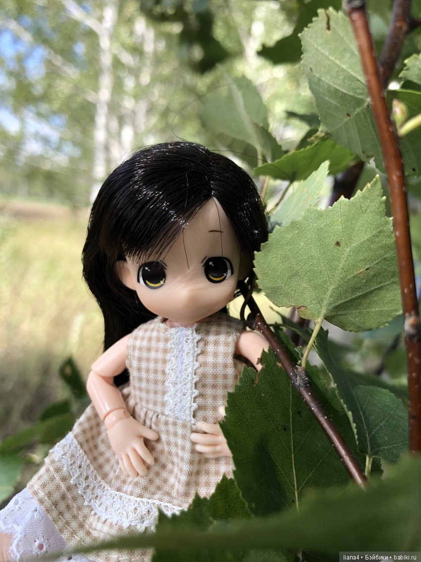 Погуляли — Аниме куклы (MJD/Винил): Imomo