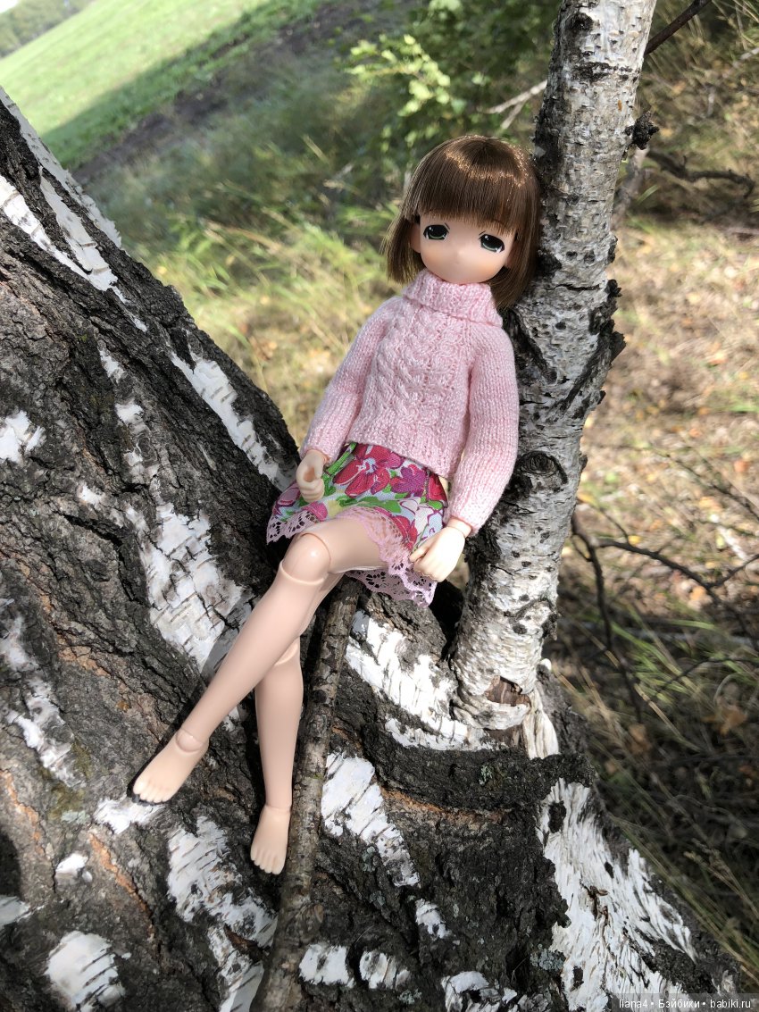 Погуляли — Аниме куклы (MJD/Винил): Imomo