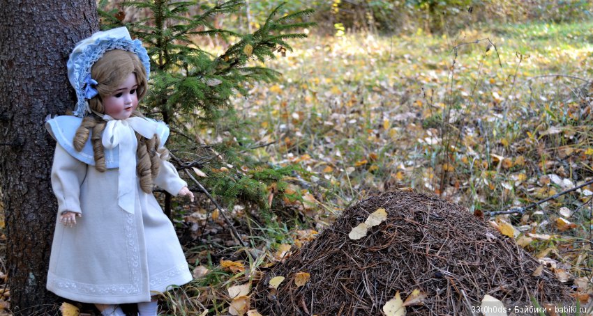 Октябрь уж наступил. Как Алина гуляла по осеннему лесу