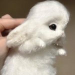 Заинька