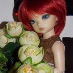 Кругом цветы