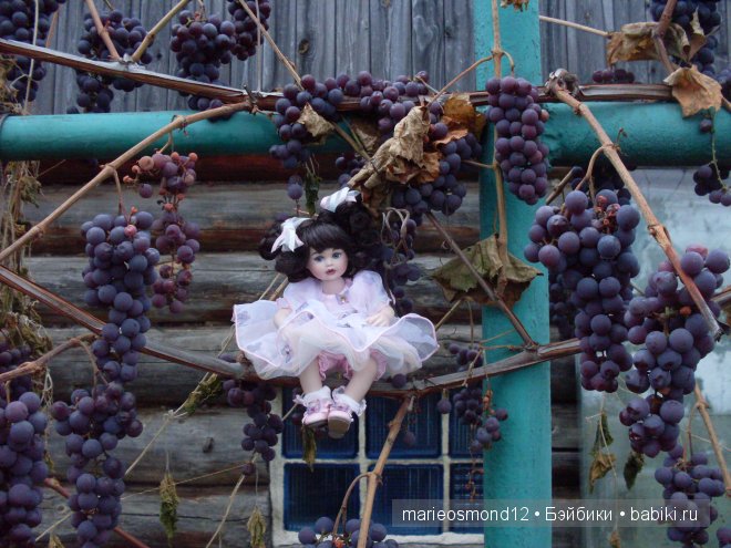 Знакомство с моей коллекцией 4 Малышки от Мари Осмонд