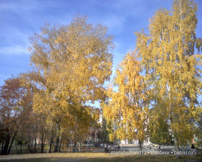 Знакомство с моей коллекцией 4 Малышки от Мари Осмонд